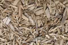 biomass boilers Kilchenzie